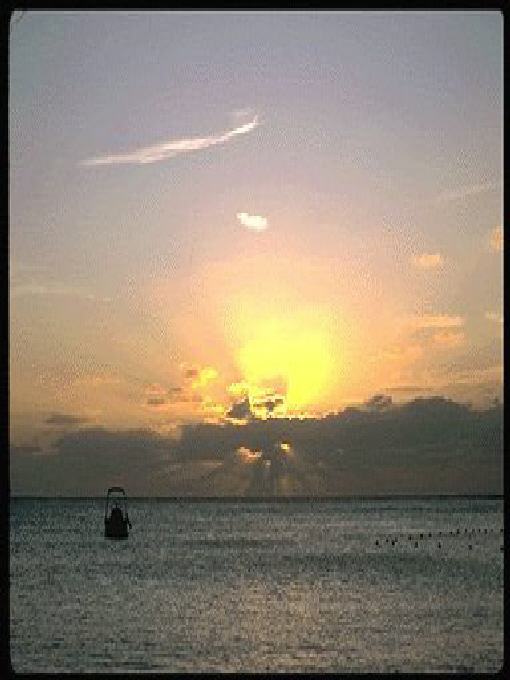 Title details for HANDBOOK OF COLOUR THERAPY by Dr. Kush Bhargava - Available